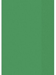BRUNNEN Hefthülle · DIN A4 · transparent · grün