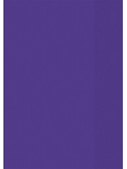 BRUNNEN Hefthülle · DIN A4 · transparent · violett