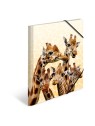 HERMA Sammelmappe · A3 · PP · Tiere · Giraffenfreunde