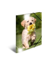 HERMA Sammelmappe · A3 · PP · Glossy Tiere · Hunde