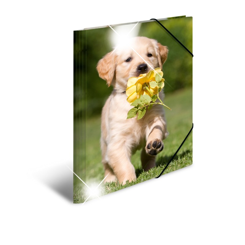 HERMA Sammelmappe · A3 · PP · Glossy Tiere · Hunde