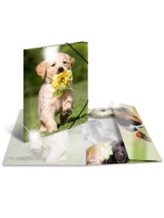 HERMA Sammelmappe · A3 · PP · Glossy Tiere · Hunde