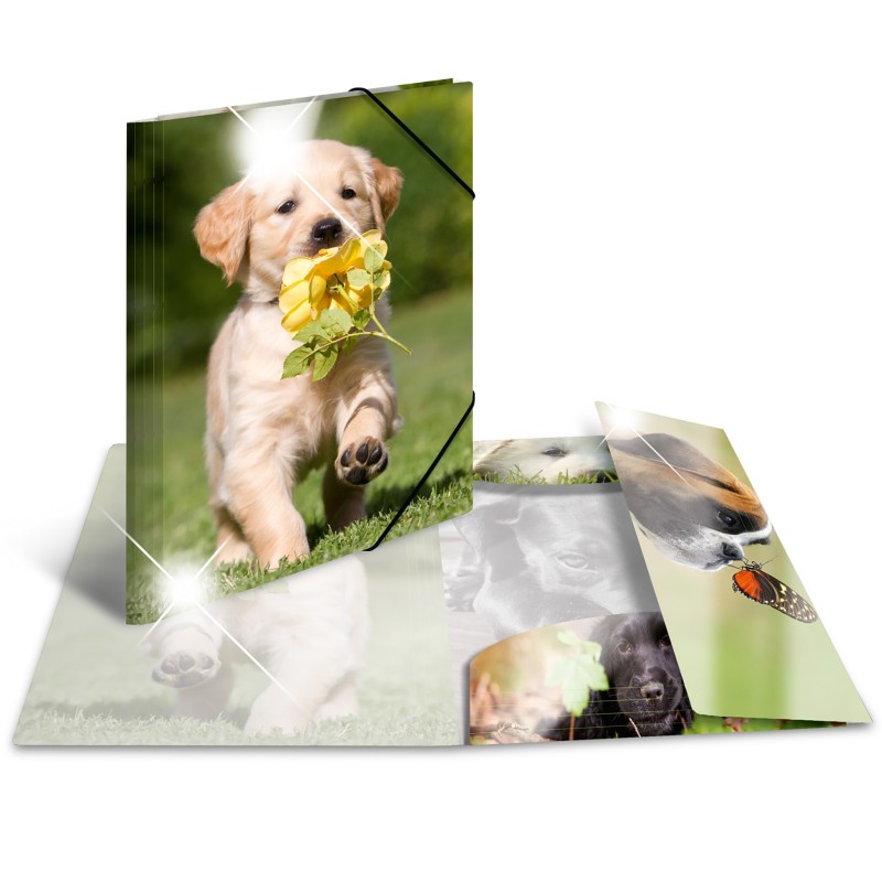 HERMA Sammelmappe · A3 · PP · Glossy Tiere · Hunde