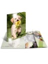 HERMA Sammelmappe · A3 · PP · Glossy Tiere · Hunde