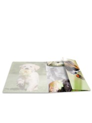 HERMA Sammelmappe · A3 · PP · Glossy Tiere · Hunde