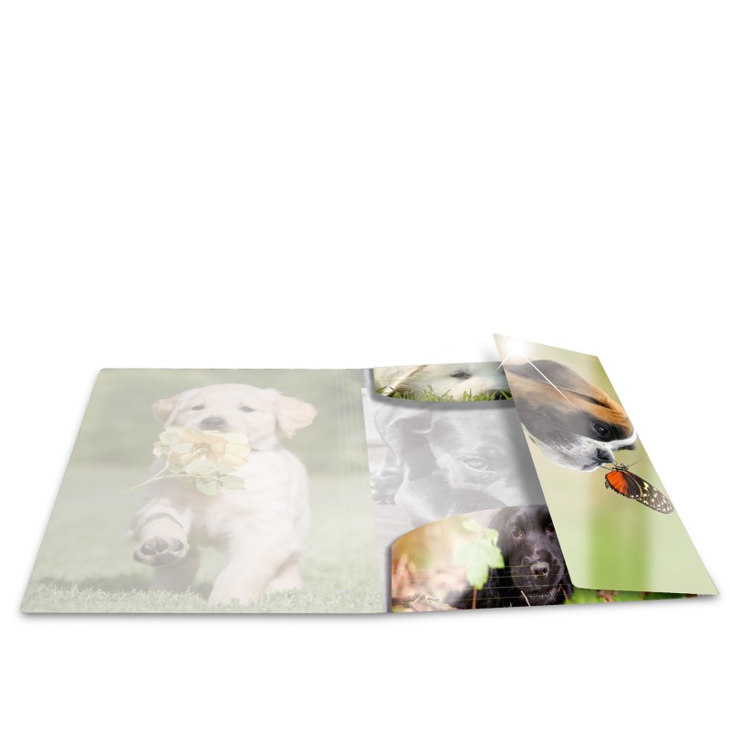 HERMA Sammelmappe · A3 · PP · Glossy Tiere · Hunde