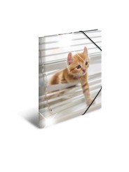 HERMA Sammelmappe · A3 · PP · Glossy Tiere · Katzen