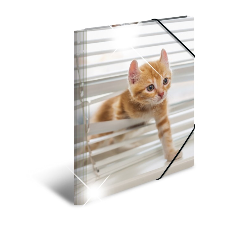 HERMA Sammelmappe · A3 · PP · Glossy Tiere · Katzen