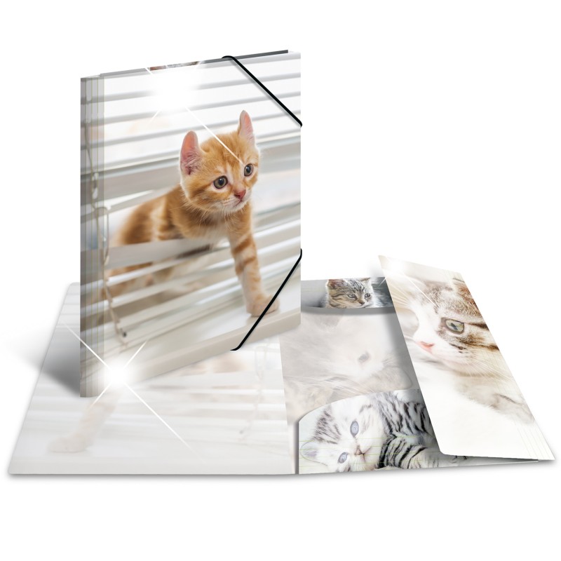 HERMA Sammelmappe · A3 · PP · Glossy Tiere · Katzen