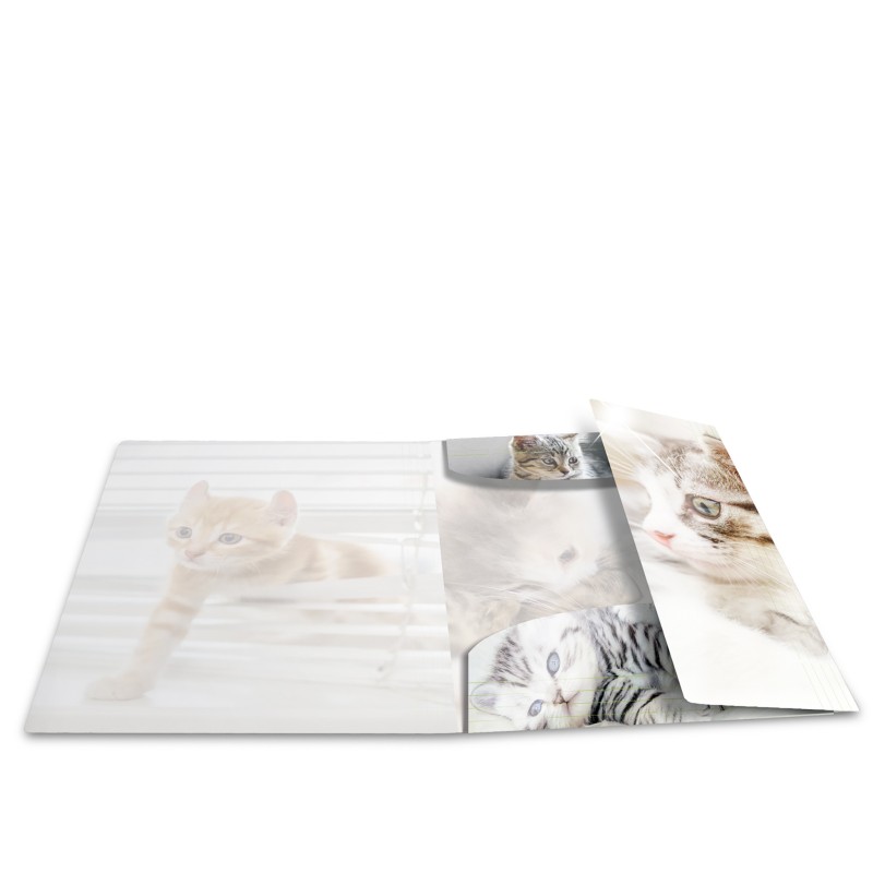 HERMA Sammelmappe · A3 · PP · Glossy Tiere · Katzen