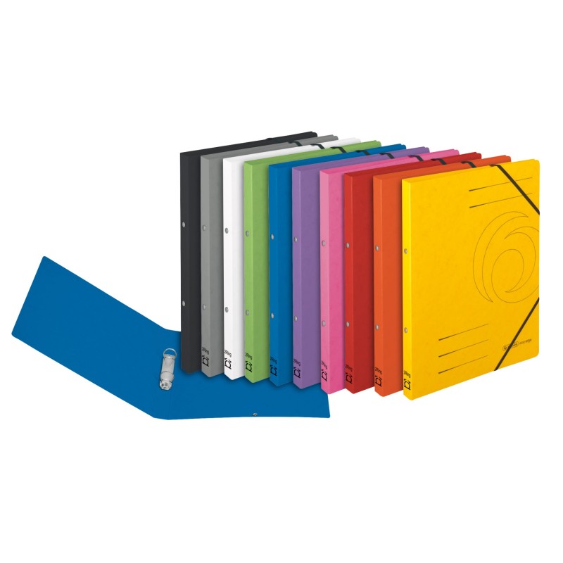 Herlitz Ringbuch / Ringhefter · colorspan · A4 · schmal · blau